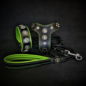 The ”Bijou” SET –  Collar, Harness, Leash. Green