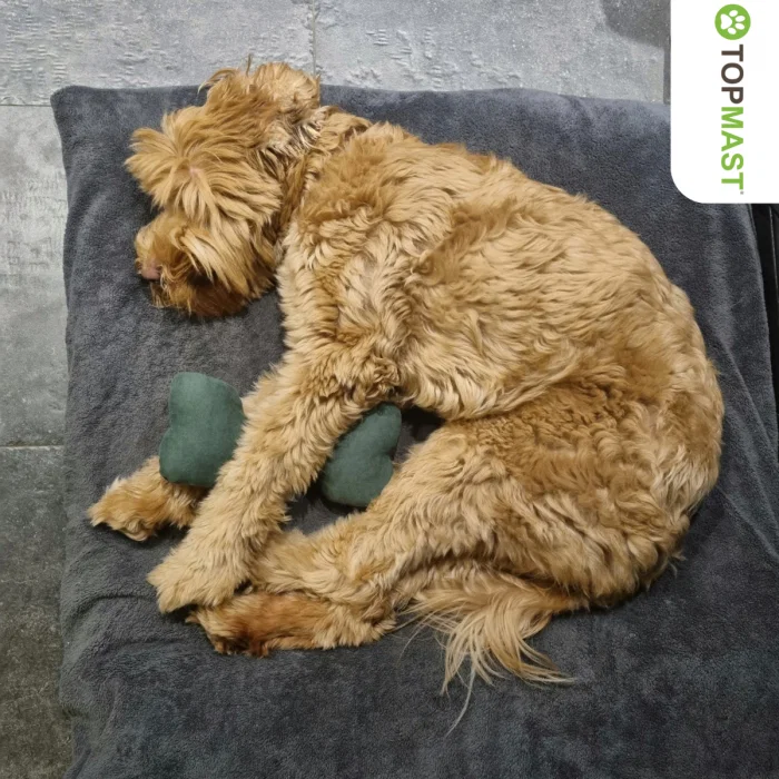 Plushe Bone 30 cm - Afbeelding 3